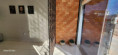 /album/loja-rua-fortaleza-1849/imagem-do-whatsapp-de-2025-08-03-a-s-08-48-37-bddda3bd-jpg/